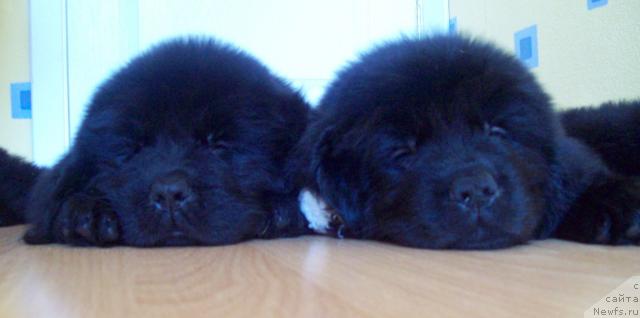 Фотография № 25664