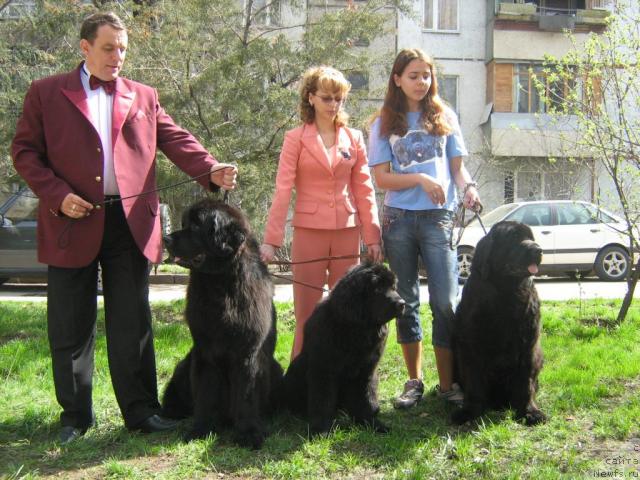 Фото: Евгений Головин, ньюфаундленд Дар Свезы Андеграунд Шоколада (Dar Svezy Andegraund Shokolada), Топгаллантс Аквитания с хозяйкой-хендлером, ньюфаундленд Рокот Волны Варга Кара Аюлар (Rokot Volny Varga Kara Ayular), Катеринка Классен