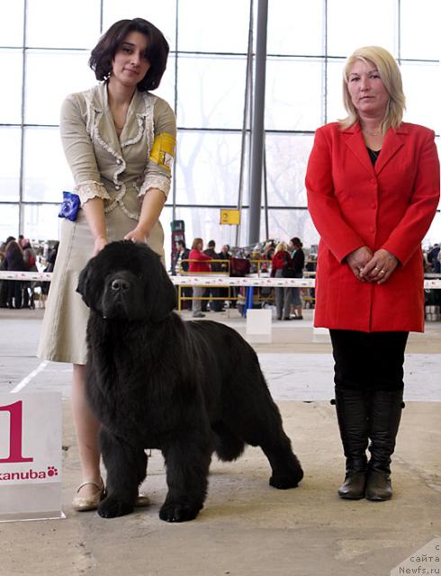 Фотография № 25704