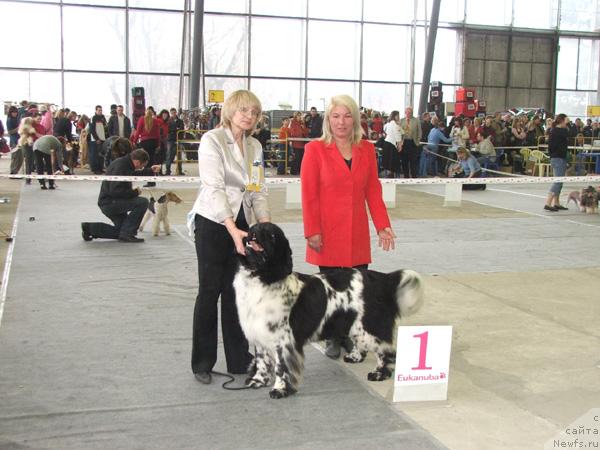 Фотография № 25735