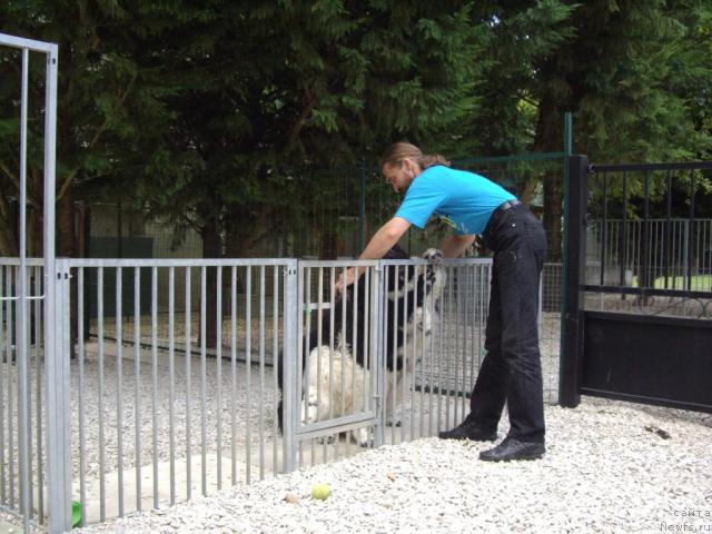 Фото: Александр Жаков