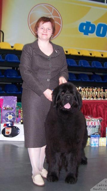 Фотография № 25783