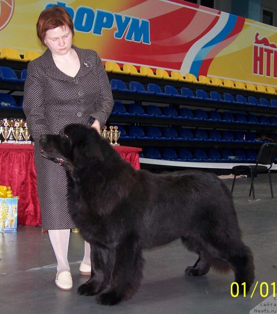 Фотография № 25784