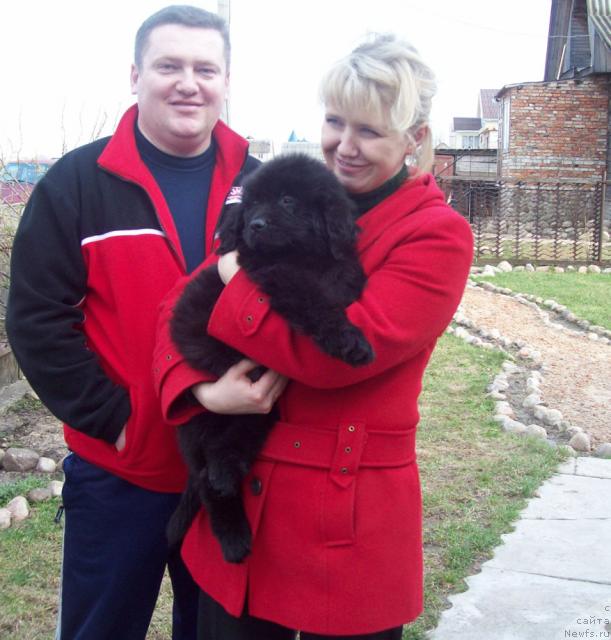 Фото: ньюфаундленд Любимый Ловелас, Анатолий, Татьяна Богдан