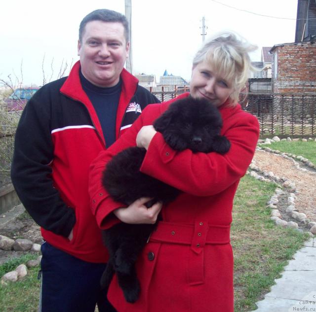 Фото: ньюфаундленд Любимый Ловелас, Анатолий, Татьяна Богдан