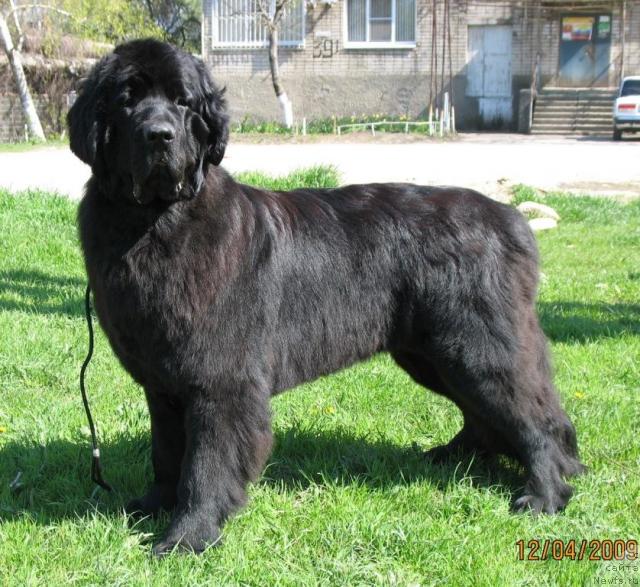 Фотография № 25921