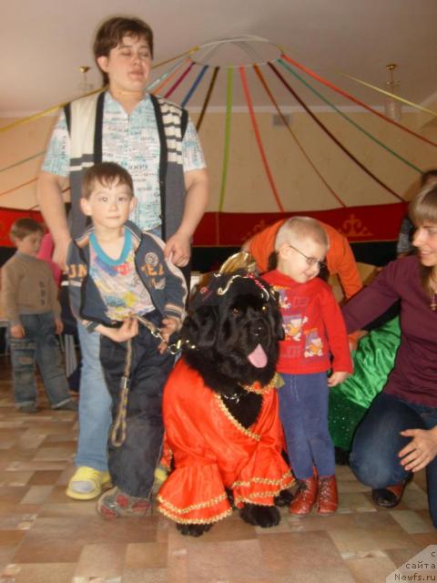 Фотография № 25995