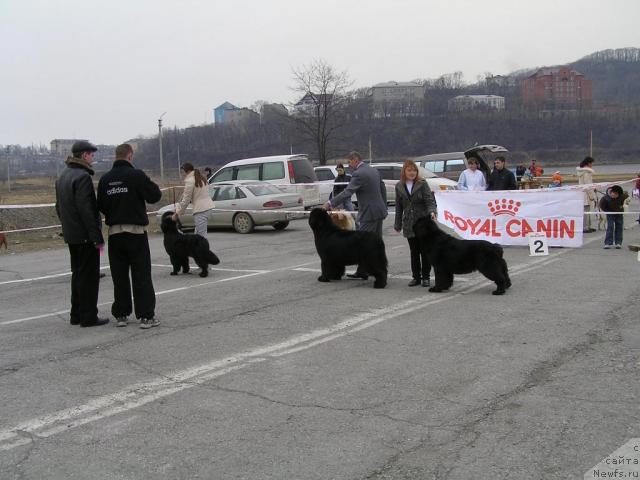 Фотография № 26009