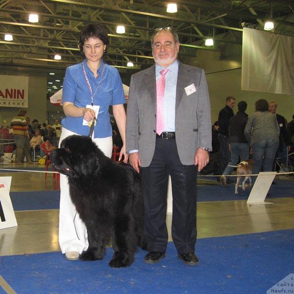 Фото: ньюфаундленд Её Величество от Сибирского Медведя (EE Velichestvo ot Sibirskogo Medvedja)