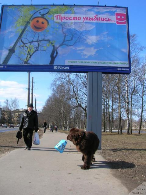 Фотография № 26044