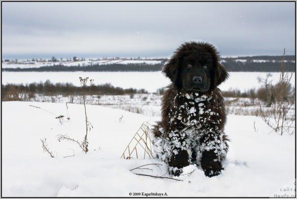 Фото: Принц Прей