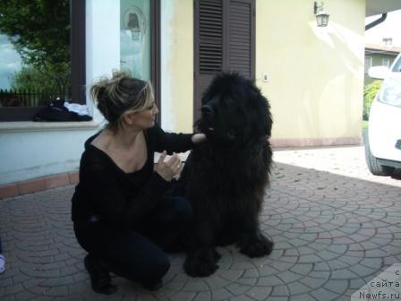 Фото: Black Clouds Marilyn Monroe