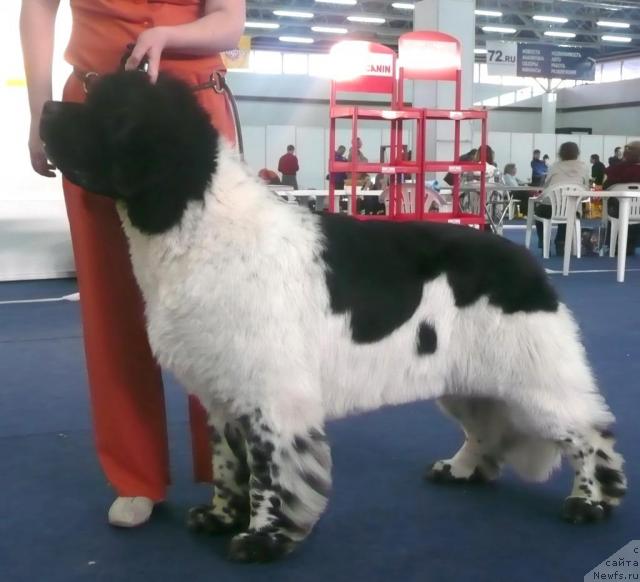 Фотография № 26134