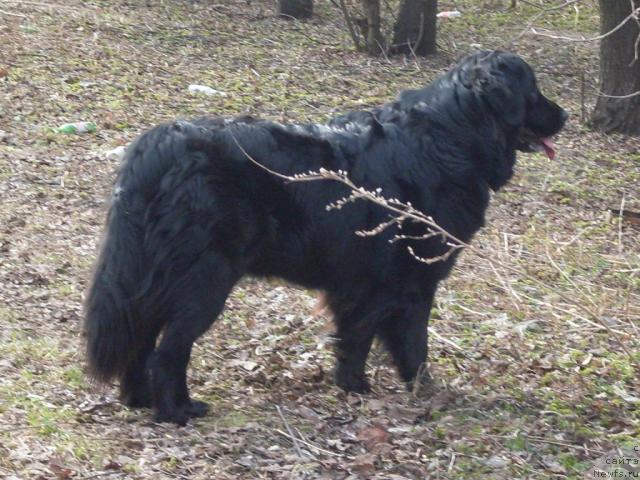 Фотография № 26135