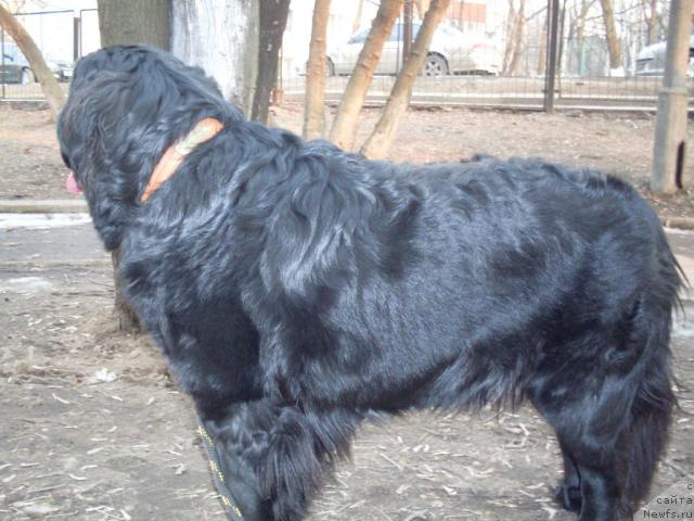 Фотография № 26136