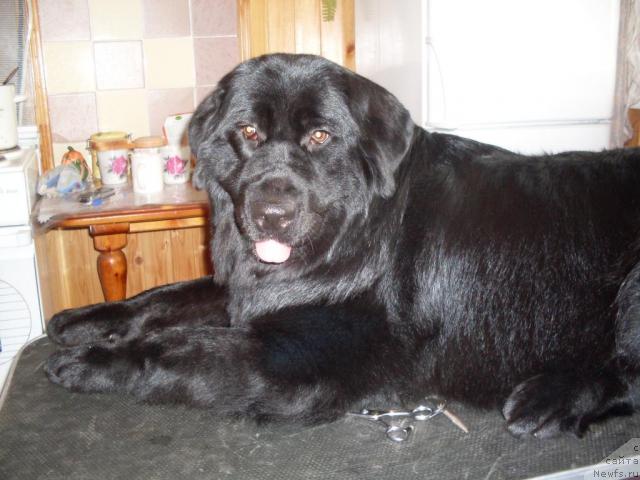 Фотография № 26137