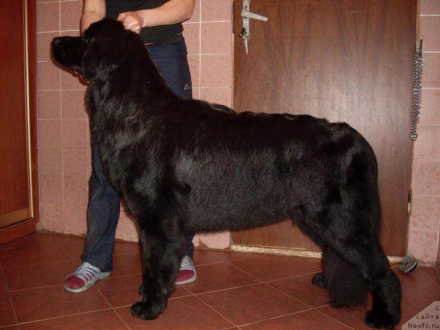 Фотография № 26138