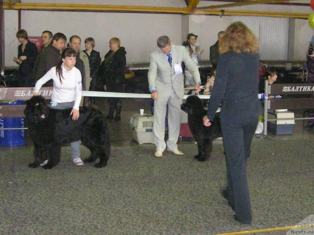 Фотография № 26151