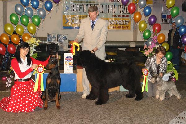 Фотография № 26154