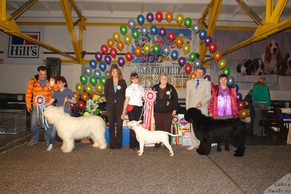 Фотография № 26155