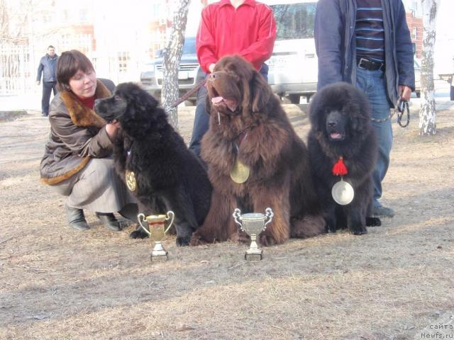 Фотография № 26158