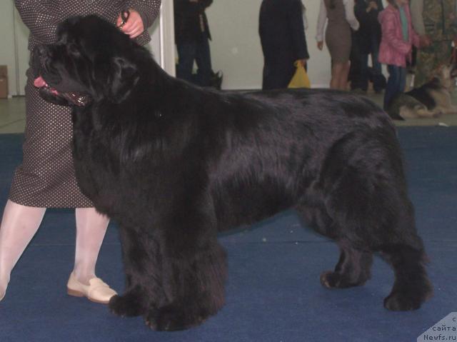 Фотография № 26176