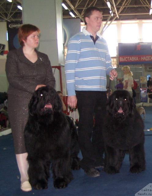 Фотография № 26177