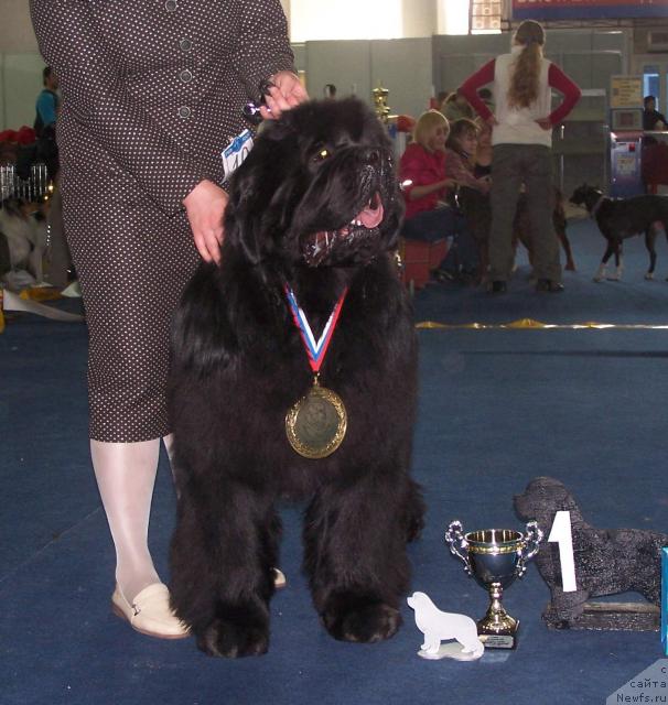 Фотография № 26179