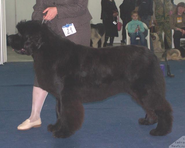 Фотография № 26190