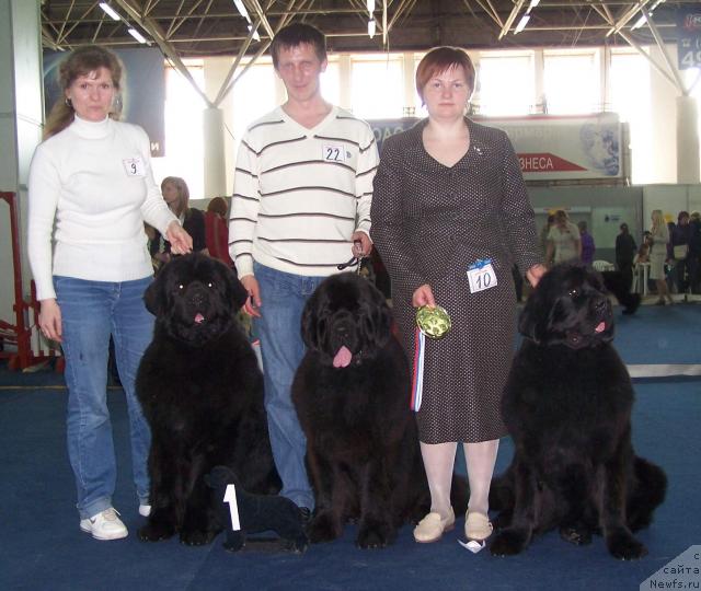 Фотография № 26194