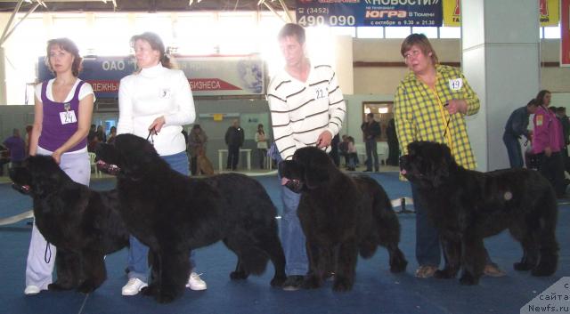 Фотография № 26195