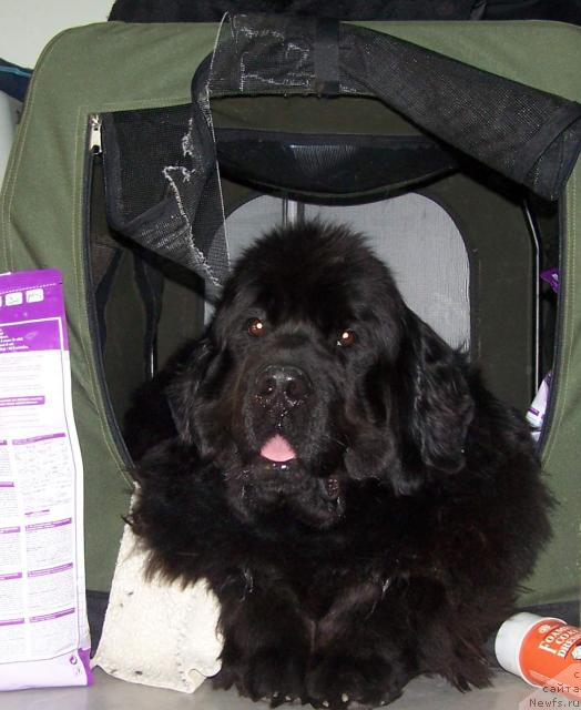 Фотография № 26196