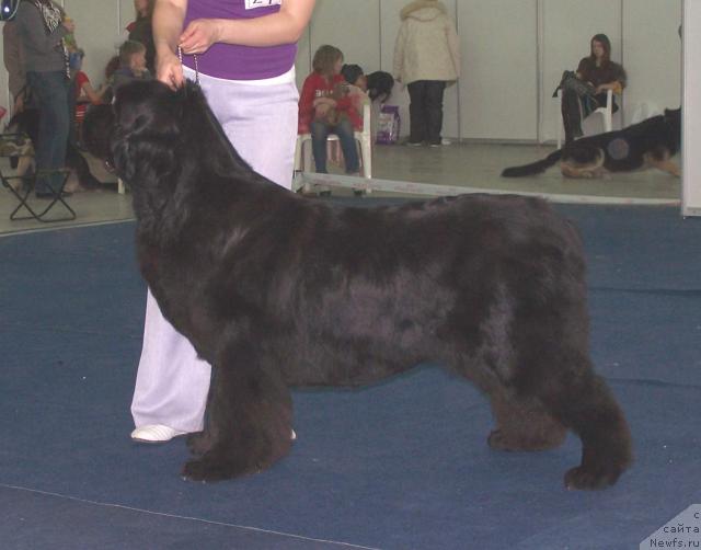 Фотография № 26197