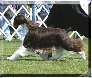 Фотография № 26206