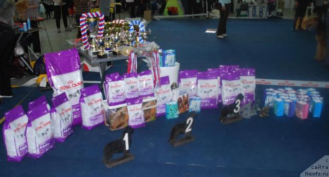 Фотография № 26291