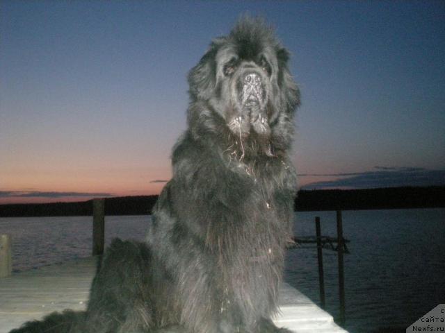 Фотография № 26314