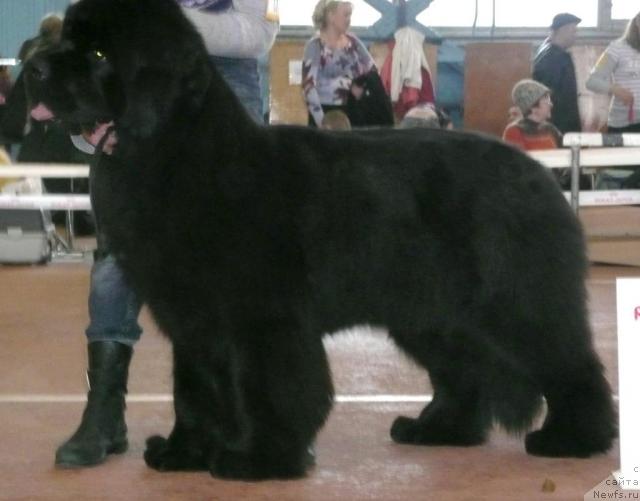 Фотография № 26336