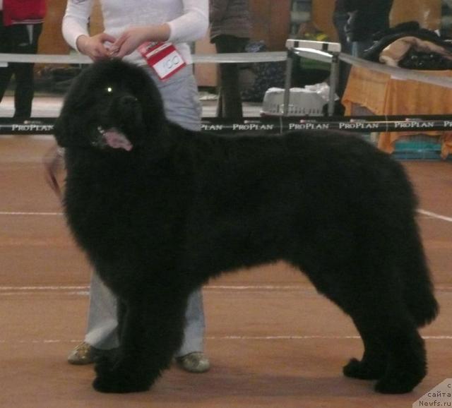 Фотография № 26338