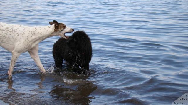 Фотография № 26363