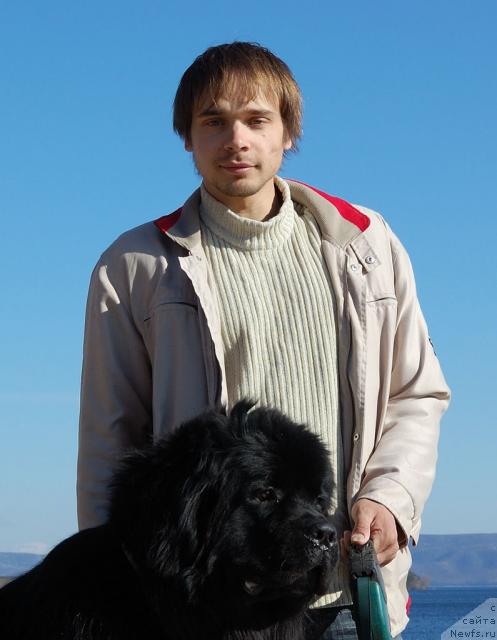 Фото: Максим Канунников, ньюфаундленд Супер Премиум Вашингтон