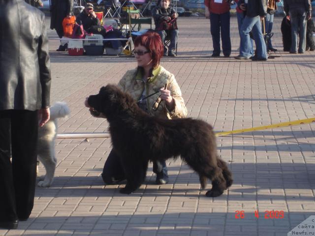 Фотография № 26391