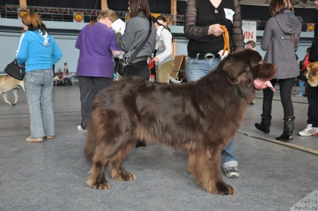 Фотография № 26418