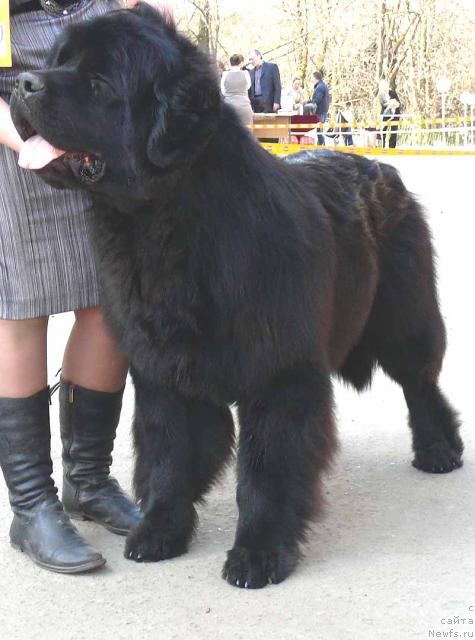 Фотография № 26420