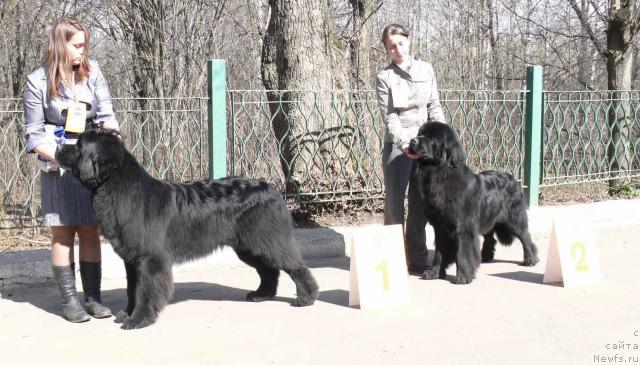 Фотография № 26423