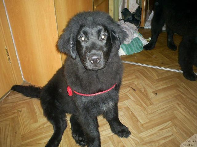 Фото: Одесса