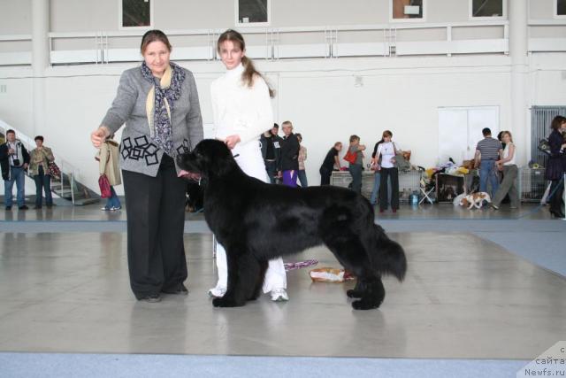 Фотография № 26586