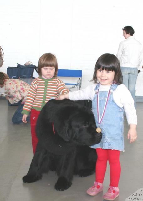 Фотография № 26588