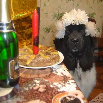 Фотография № 26641