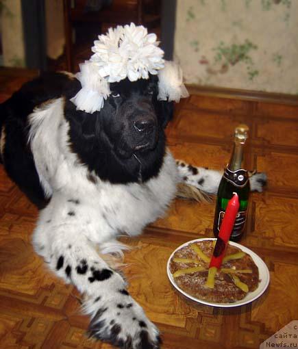 Фотография № 26642