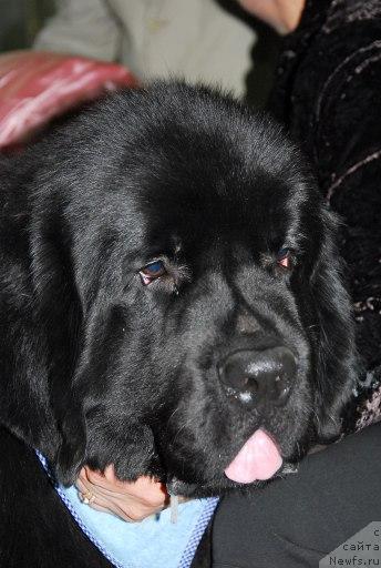 Фотография № 26674